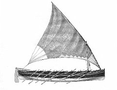 E - Sardellante della Galizia 